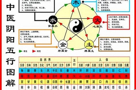 1984鼠五行|1984年属鼠五行属什么，84年属鼠人一生运势